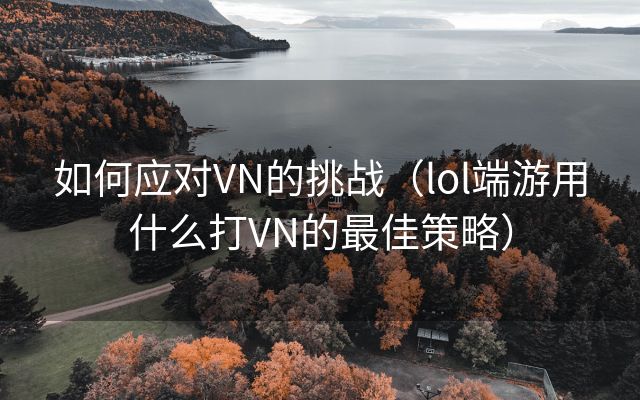 如何应对VN的挑战（lol端游用什么打VN的最佳策略）