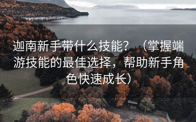 迦南新手带什么技能？（掌握端游技能的最佳选择，帮助新手角色快速成长）