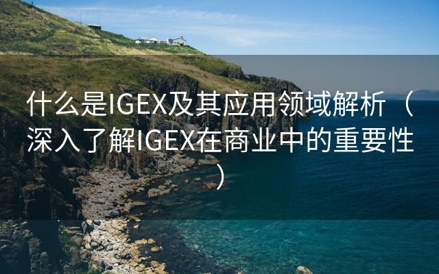 什么是IGEX及其应用领域解析（深入了解IGEX在商业中的重要性）