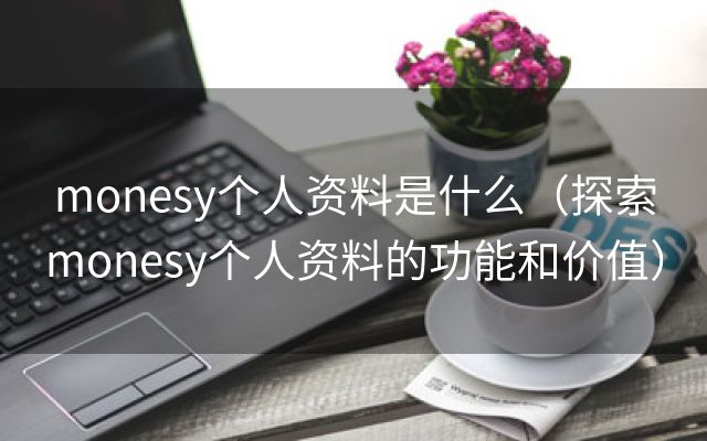 monesy个人资料是什么（探索monesy个人资料的功能和价值）