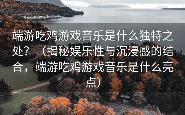 端游吃鸡游戏音乐是什么独特之处？（揭秘娱乐性与沉浸感的结合，端游吃鸡游戏音乐是什么亮点）