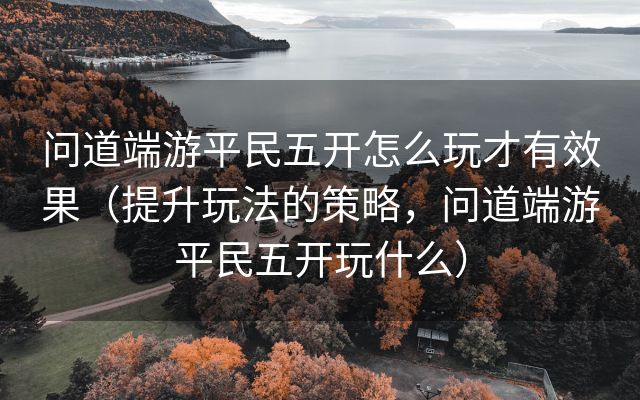 问道端游平民五开怎么玩才有效果（提升玩法的策略，问道端游平民五开玩什么）