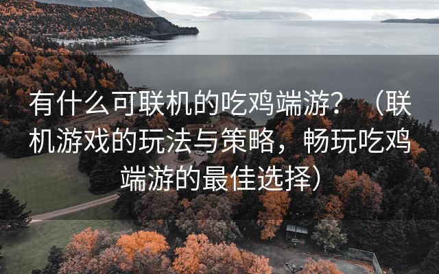 有什么可联机的吃鸡端游？（联机游戏的玩法与策略，畅玩吃鸡端游的最佳选择）