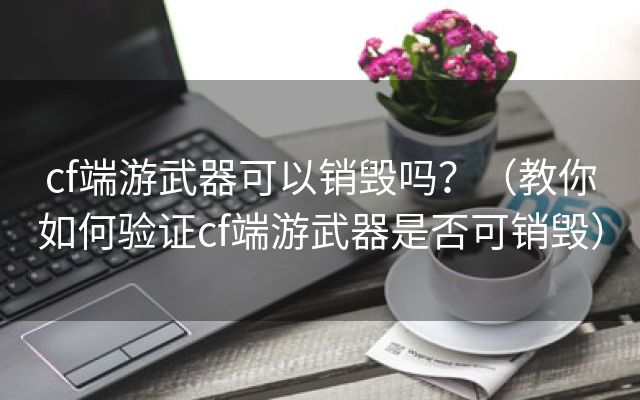 cf端游武器可以销毁吗？（教你如何验证cf端游武器是否可销毁）