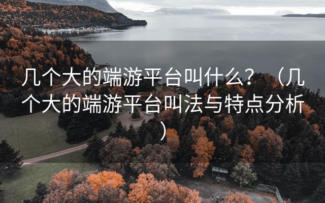 几个大的端游平台叫什么？（几个大的端游平台叫法与特点分析）