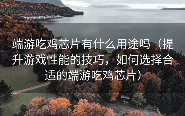 端游吃鸡芯片有什么用途吗（提升游戏性能的技巧，如何选择合适的端游吃鸡芯片）