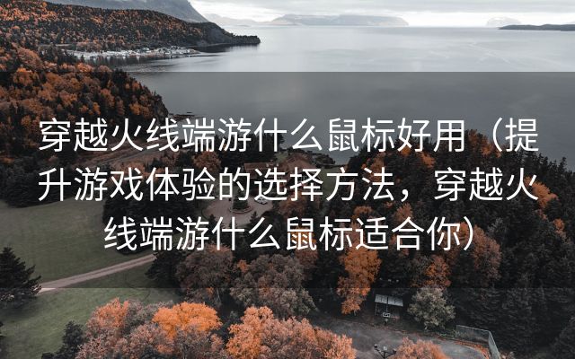 穿越火线端游什么鼠标好用（提升游戏体验的选择方法，穿越火线端游什么鼠标适合你）