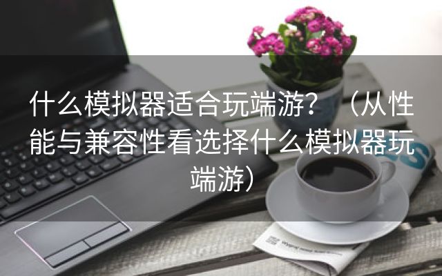 什么模拟器适合玩端游？（从性能与兼容性看选择什么模拟器玩端游）