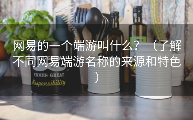 网易的一个端游叫什么？（了解不同网易端游名称的来源和特色）